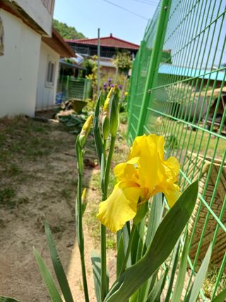 조정분(사랑이엄마)님의 자유주제 · 자유게시판 작성글 사진