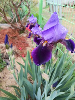 조정분(사랑이엄마)님의 자유주제 · 자유게시판 작성글 사진