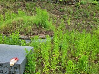 백형석님의 자유주제 · 자유게시판 작성글 사진