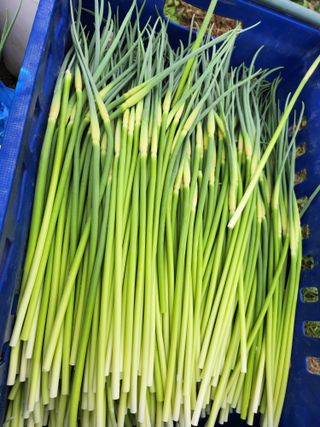 홍산농부님의 작성글 사진