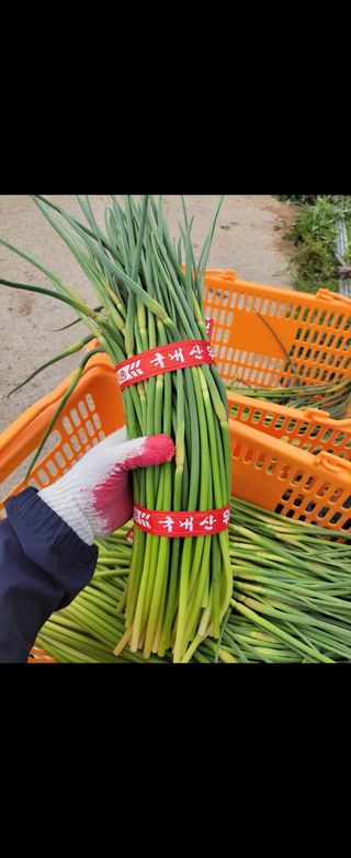 홍산농부님의 작성글 사진