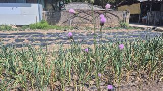 이상주님의 자유주제 · 자유게시판 작성글 사진