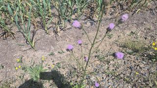 이상주님의 자유주제 · 자유게시판 작성글 사진