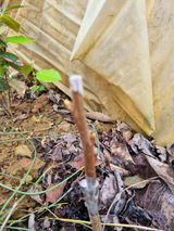 팜모닝 자유주제·자유게시판 게시글 이미지