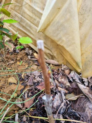 풍요님의 자유주제 · 자유게시판 작성글 사진