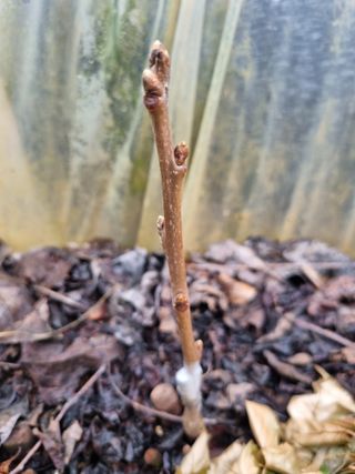 풍요님의 자유주제 · 자유게시판 작성글 사진