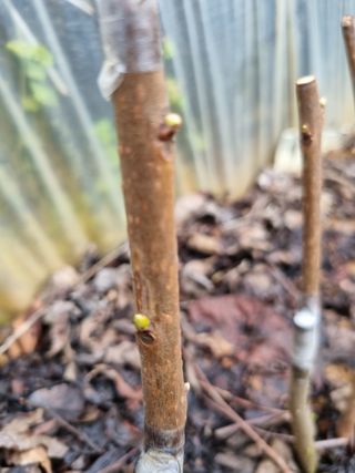 풍요님의 자유주제 · 자유게시판 작성글 사진