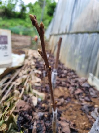 풍요님의 자유주제 · 자유게시판 작성글 사진