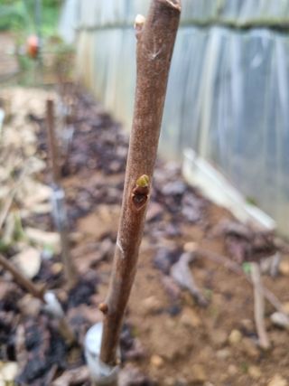 풍요님의 자유주제 · 자유게시판 작성글 사진