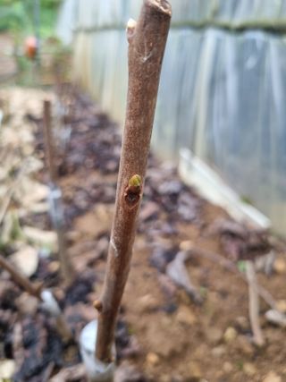 풍요님의 자유주제 · 자유게시판 작성글 사진