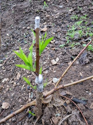 풍요님의 자유주제 · 자유게시판 작성글 사진