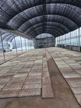 팜모닝 벼·영농일지 게시글 이미지