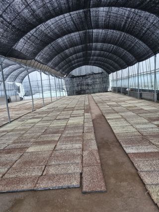 이규현님의 벼 · 영농일지 작성글 사진