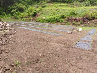 대파14665님의 자유주제 · 자유게시판 작성글 사진