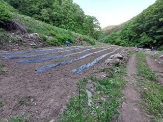 대파14665님의 자유주제 · 자유게시판 작성글 사진