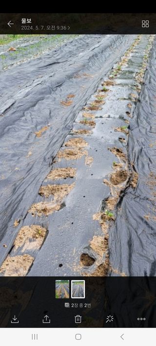 오이20510님의 자유주제 · 자유게시판 작성글 사진