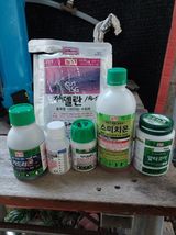 팜모닝 자두·영농일지 게시글 이미지