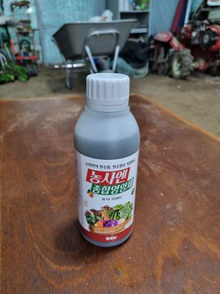 정성갑님의 자유주제 · 자유게시판 작성글 사진