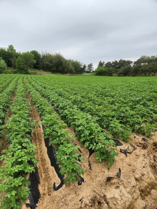 최승일님의 자유주제 · 사진전 작성글 사진