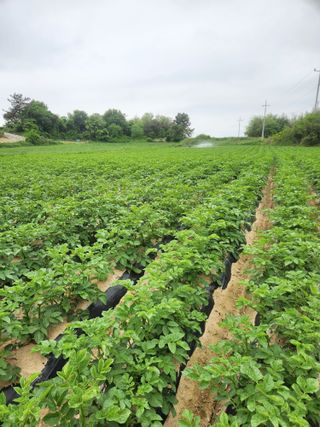 최승일님의 자유주제 · 사진전 작성글 사진