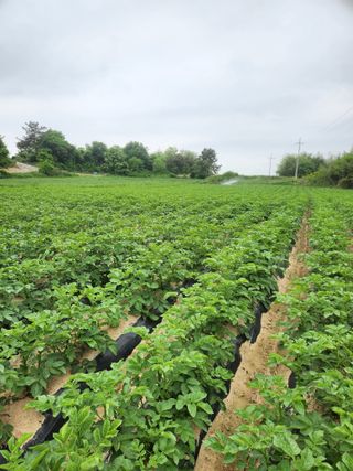 최승일님의 자유주제 · 사진전 작성글 사진