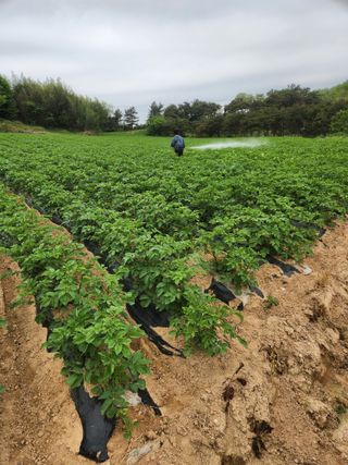 최승일님의 자유주제 · 사진전 작성글 사진