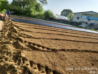 고골농장님의 5월 내 작물 자랑하기 · 참여글 작성글 사진