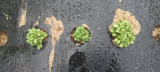 생명샘님의 자유주제 · 자유게시판 작성글 사진