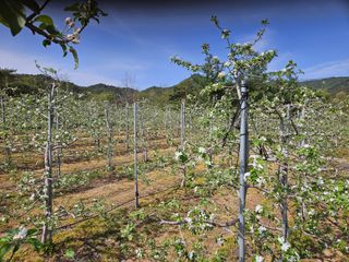 이희문님의 5월 내 작물 자랑하기 · 참여글 작성글 사진