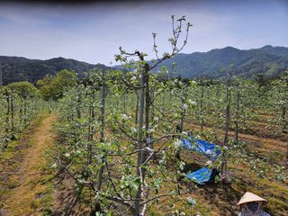 이희문님의 5월 내 작물 자랑하기 · 참여글 작성글 사진