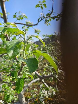 이희문님의 5월 내 작물 자랑하기 · 참여글 작성글 사진