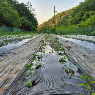 성장하는농부님의 자유주제 · 자유게시판 작성글 사진