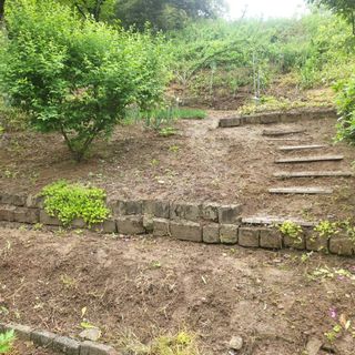 희상님의 고추 · 영농일지 작성글 사진