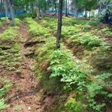 팜모닝 5월 내 작물 자랑하기·참여글 게시글 이미지