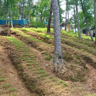 이광진님의 5월 내 작물 자랑하기 · 참여글 작성글 사진