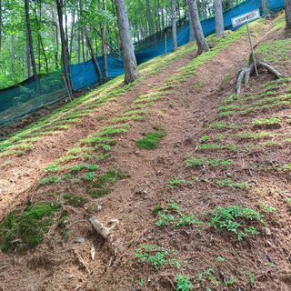 이광진님의 5월 내 작물 자랑하기 · 참여글 작성글 사진