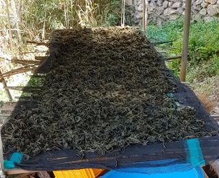 한현철님의 기타작물 · 자유게시판 작성글 사진