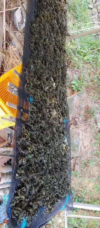 한현철님의 기타작물 · 자유게시판 작성글 사진