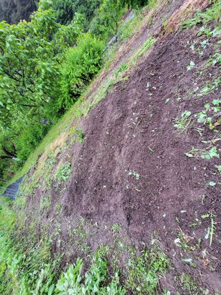 농부쑤니님의 자유주제 · 자유게시판 작성글 사진