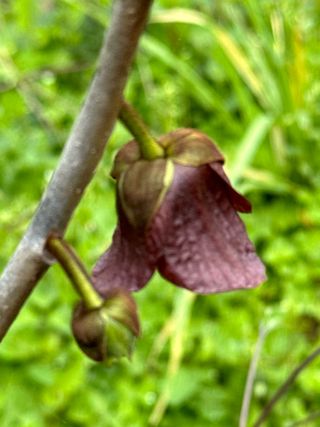 장기범님의 기타작물 · 영농일지 작성글 사진