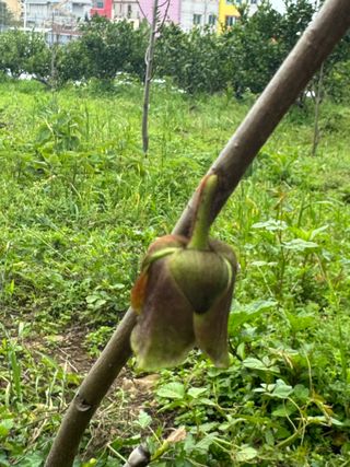 장기범님의 기타작물 · 영농일지 작성글 사진