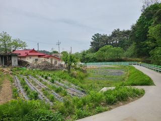 전홍열님의 농사, 무엇이든 물어보세요! · 참여글 작성글 사진
