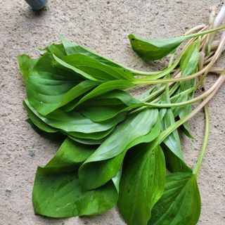 서녕영더기님의 자유주제 · 자유게시판 작성글 사진