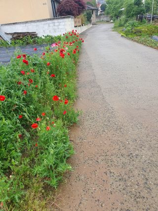 구봉갑산님의 자유주제 · 자유게시판 작성글 사진