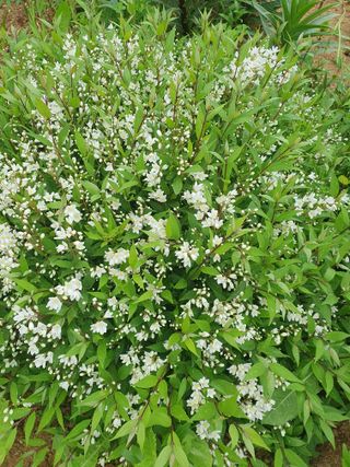 구봉갑산님의 자유주제 · 자유게시판 작성글 사진