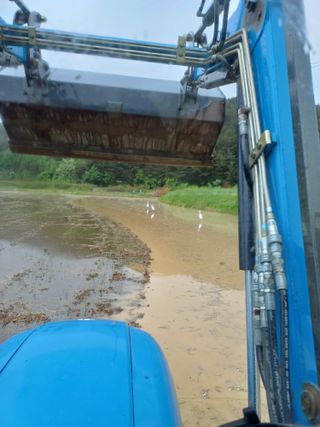 오이14746님의 벼 · 영농일지 작성글 사진