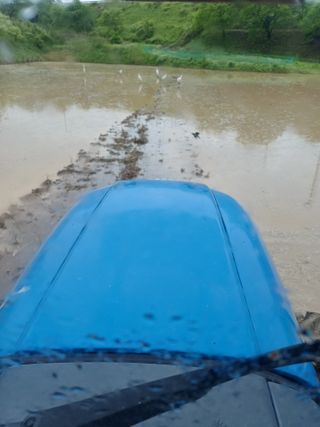 오이14746님의 벼 · 영농일지 작성글 사진