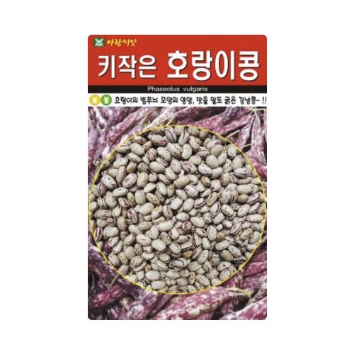 장터 상품 [[아람종묘] 호랑이강낭콩(비넝쿨) 씨앗종자 30g (키작은호랑이콩)] 썸네일