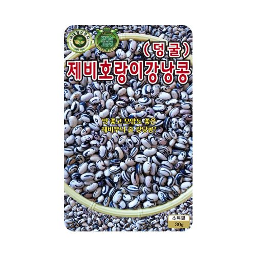 장터 상품 [[KS종묘] 제비호랑이강낭콩 (넝쿨) 씨앗종자 30g] 썸네일