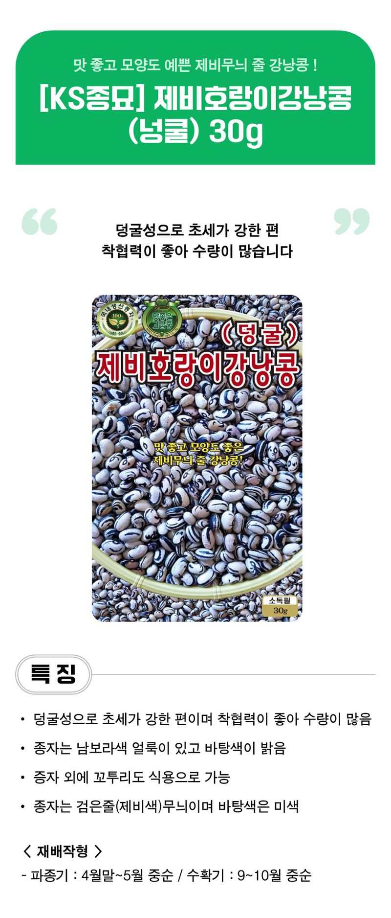 팜모닝 상점님의 장터 판매 상품 [[KS종묘] 제비호랑이강낭콩 (넝쿨) 씨앗종자 30g] 첨부 사진